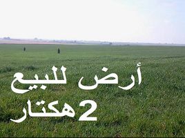  Land for sale in Azemmour, El Jadida, Azemmour