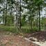  Land for sale in Mae Rim Chiang Mai, Mae Raem, Mae Rim, Chiang Mai