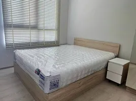 1 Schlafzimmer Wohnung zu vermieten im Nue Noble Srinakarin - Lasalle, Samrong Nuea, Mueang Samut Prakan, Samut Prakan