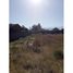  Land for sale in Paine, Maipo, Paine