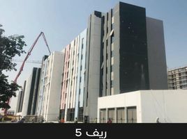 Studio Apartment for sale at The Link, Al Zahia, Muwaileh Commercial, Sharjah