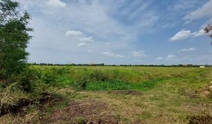 N/A Grundstück zu verkaufen in Nong Krabian, Lop Buri 