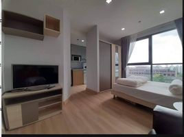 1 Bedroom Condo for rent at Ideo Mobi Sukhumvit 81, Bang Chak, Phra Khanong, Bangkok