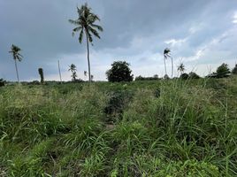  Grundstück zu verkaufen in Pattaya, Chon Buri, Nong Pla Lai