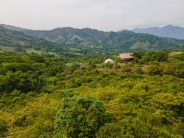  Grundstück zu verkaufen in San Mateo, Alajuela, San Mateo