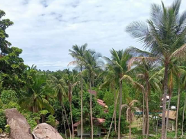  Grundstück zu verkaufen in Ko Pha-Ngan, Surat Thani, Ko Pha-Ngan, Ko Pha-Ngan