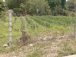  Grundstück zu verkaufen in Kaeng Khoi, Saraburi, Cham Phak Phaeo, Kaeng Khoi