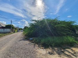 ขายที่ดิน ใน หัวหิน ประจวบคีรีขันธ์, หนองแก