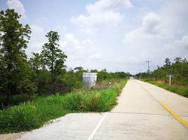 ขายที่ดิน ใน พิบูลมังสาหาร อุบลราชธานี, โพธิ์ไทร