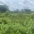  Land for sale in Makro Hangdong, Mae Hia, Mae Hia