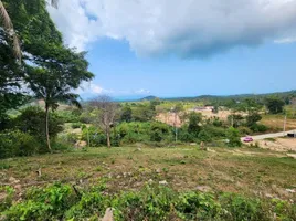  Land for sale in Baan Tai Beach, Maenam, Maenam