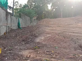 ขายที่ดิน ใน ถลาง ภูเก็ต, สาคู