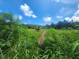  Land for sale in Phuket Town, Phuket, Chalong, Phuket Town