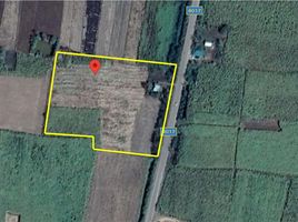  Grundstück zu verkaufen in Phu Khiao, Chaiyaphum, Kut Yom, Phu Khiao