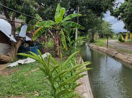  Grundstück zu verkaufen in Saraphi, Chiang Mai, Don Kaeo, Saraphi