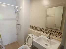 1 Bedroom Apartment for rent at D Condo Creek, Kathu, Kathu