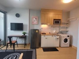 Studio Wohnung zu vermieten im Ideo Blucove Sukhumvit, Bang Na, Bang Na, Bangkok, Thailand