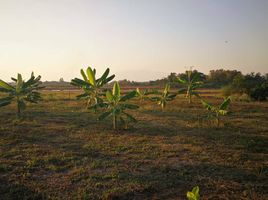  Grundstück zu verkaufen in San Kamphaeng, Chiang Mai, Buak Khang, San Kamphaeng, Chiang Mai