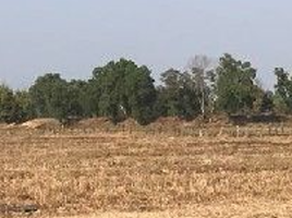  Land for sale in Wiang Phang Kham, Mae Sai, Wiang Phang Kham
