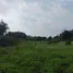  Grundstück zu verkaufen in San Sai, Chiang Mai, San Sai, Phrao, Chiang Mai