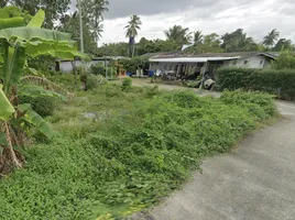  Grundstück zu verkaufen in Thalang, Phuket, Mai Khao