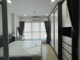 1 Schlafzimmer Appartement zu vermieten im Supalai Veranda Ramkhamhaeng, Hua Mak