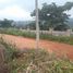  Land for sale in Akwapim South, Eastern, Akwapim South