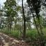  Land for sale in Mae Rim Chiang Mai, Mae Raem, Mae Rim, Chiang Mai