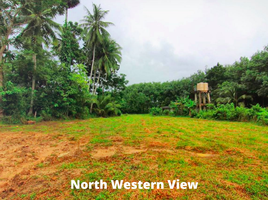  Land for sale in Phuket, Pa Khlok, Thalang, Phuket