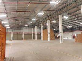  Warehouse for rent in Airport Rail Link Station, Samut Prakan, Bang Pla, Bang Phli, Samut Prakan