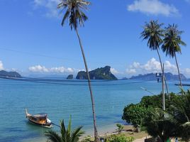 2 Schlafzimmer Villa zu verkaufen in Ko Yao, Phangnga, Ko Yao Noi, Ko Yao