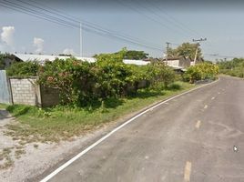  Land for sale in Lampang, Nong Lom, Hang Chat, Lampang