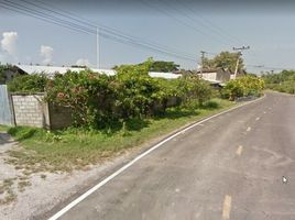  Land for sale in Hang Chat, Lampang, Nong Lom, Hang Chat