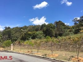  Land for sale in Colombia, El Carmen, Norte De Santander, Colombia