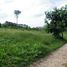  Land for sale in Bang Muang, Takua Pa, Bang Muang