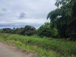  Land for sale in San Pa Tong, Chiang Mai, Makhun Wan, San Pa Tong