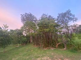  Land for sale in Phuket, Rawai, Phuket Town, Phuket