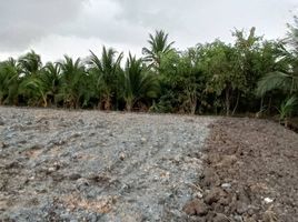  Grundstück zu verkaufen in Ban Phaeo, Samut Sakhon, Yok Krabat