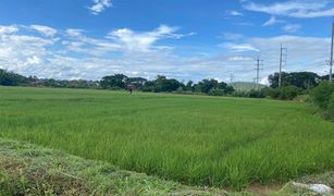 N/A Land for sale in Nam Pua, Nan 