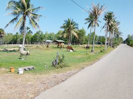  Grundstück zu verkaufen in Sam Roi Yot, Prachuap Khiri Khan, Sam Roi Yot, Sam Roi Yot, Prachuap Khiri Khan