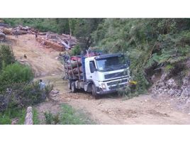  Land for sale in Osorno, Osorno, Osorno