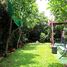 4 Bedroom House for sale at Wararom Charoenmuang, Ton Pao, San Kamphaeng