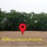  Land for sale in Mueang Phitsanulok, Phitsanulok, Don Thong, Mueang Phitsanulok