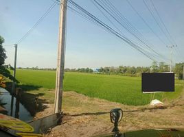  Land for sale in Don Chimphli, Bang Nam Priao, Don Chimphli