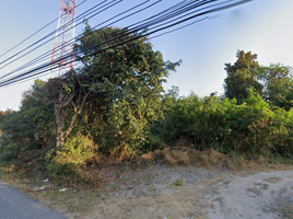  Land for sale in Ban Klang, San Pa Tong, Ban Klang