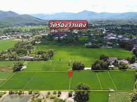  Land for sale in Rong Wua Daeng, San Kamphaeng, Rong Wua Daeng