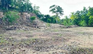 N/A Land for sale in Koh Phangan, Surat Thani 