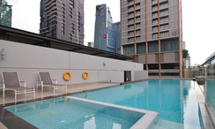 图片 3 of the 游泳池 at Villa 24