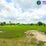  Land for sale in Kham Thale So Nakhon Ratchasima, Phan Dung, Kham Thale So, Nakhon Ratchasima