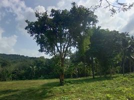  Land for sale in Bang Po Beach, Maenam, Maenam